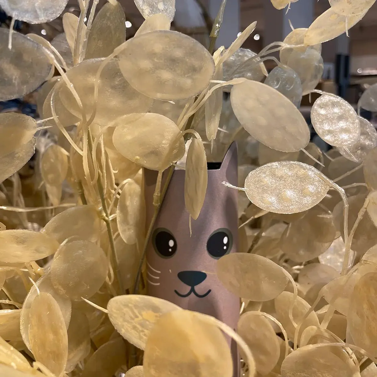 Cover Maus Finley - Image 3