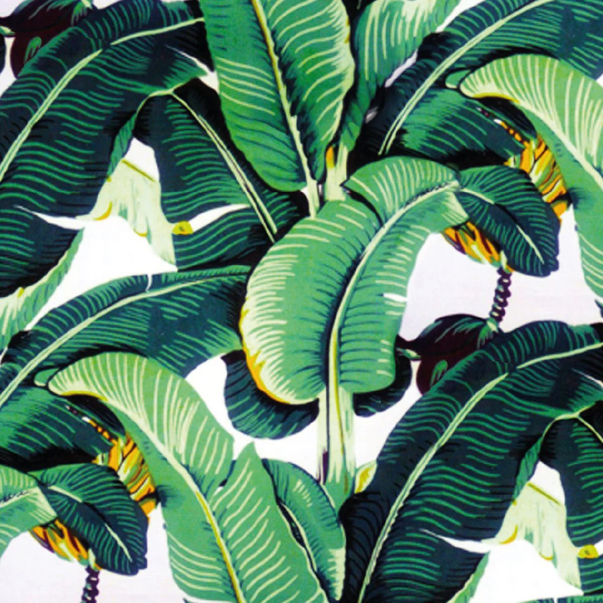 Cover Urban Jungle - Image 4