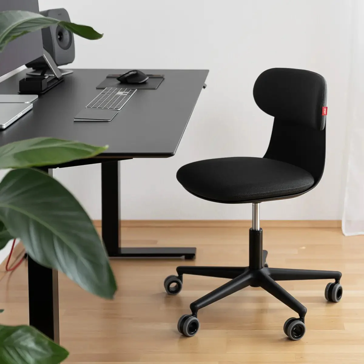 Kozy Black - Image 6