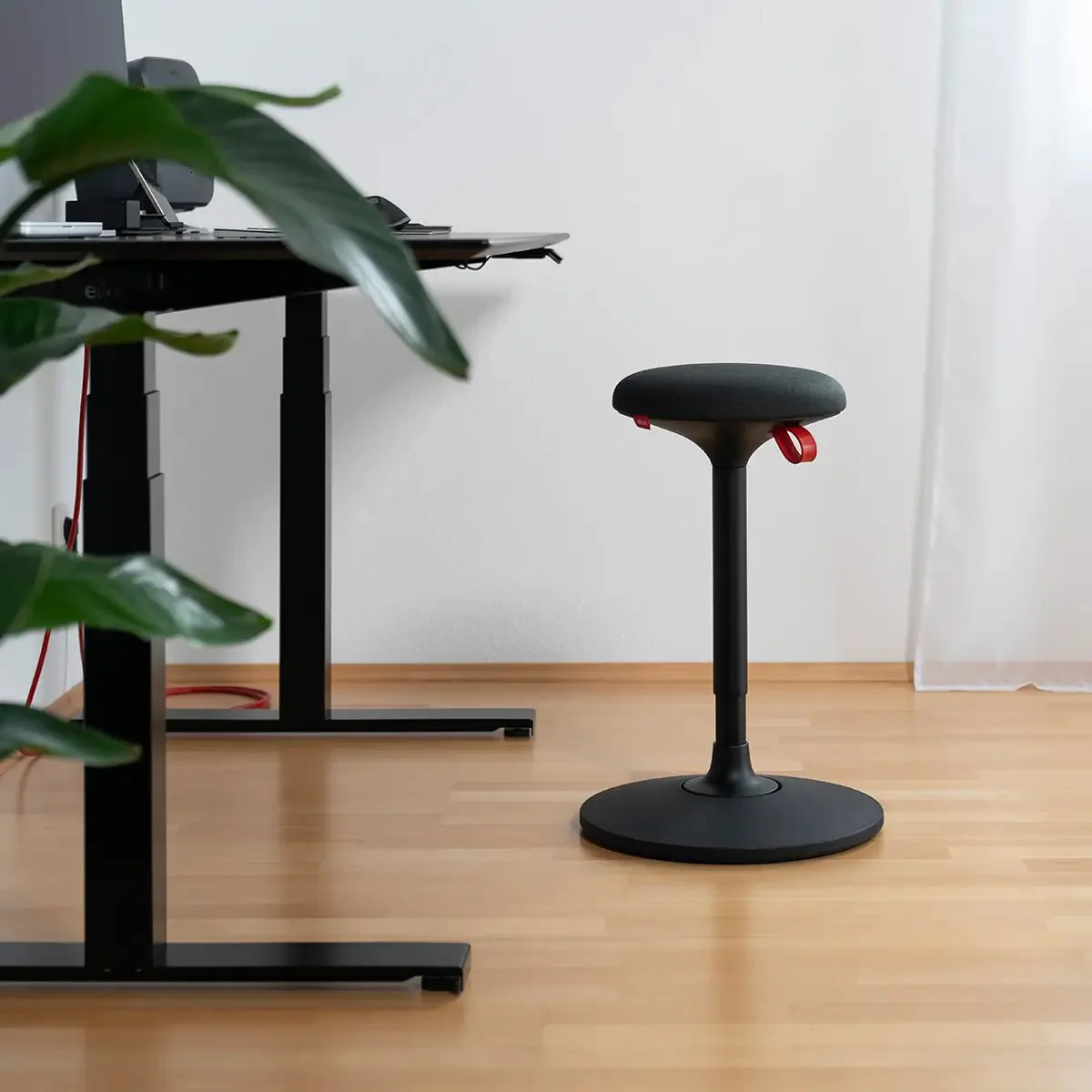 Lio Plus Black - Image 7