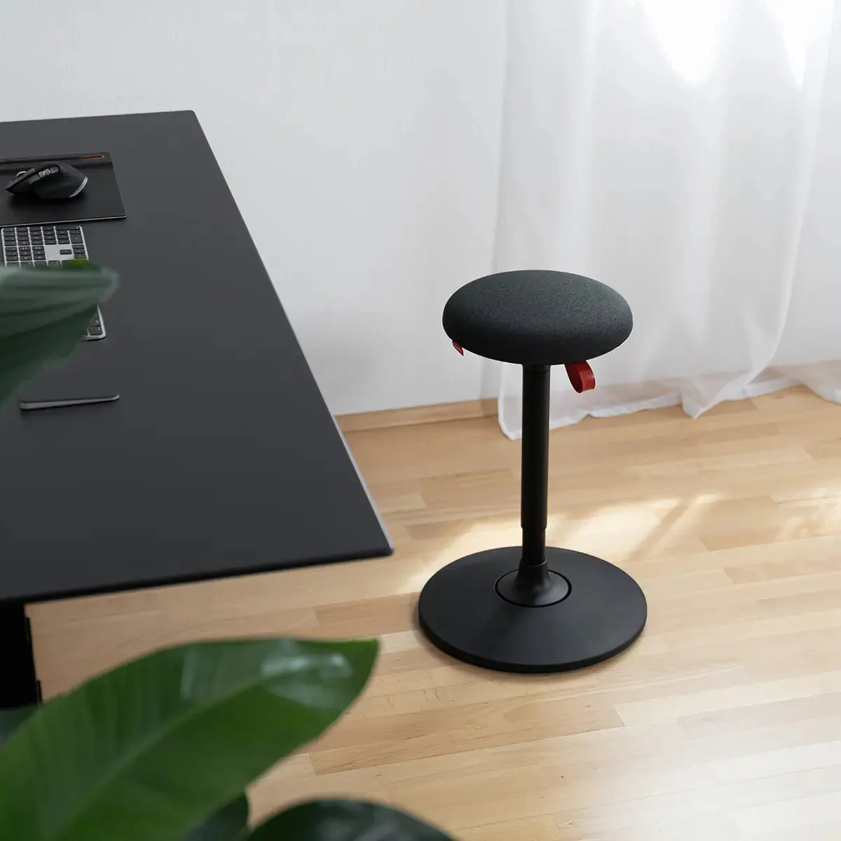 Lio Plus Black - Image 8